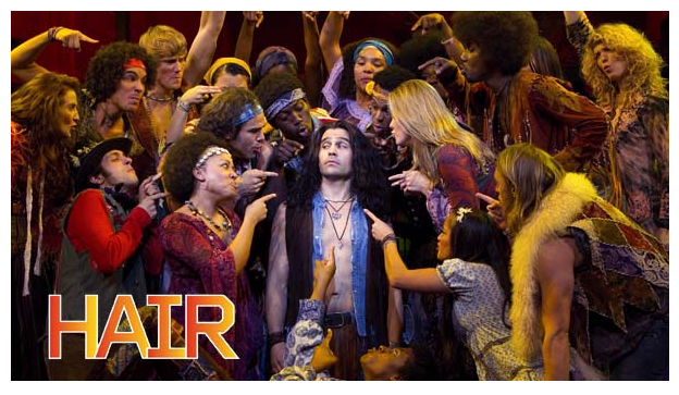 Cast of HAIR musical 2011