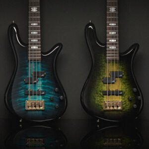 NS-Icon-Neck-Through-Family